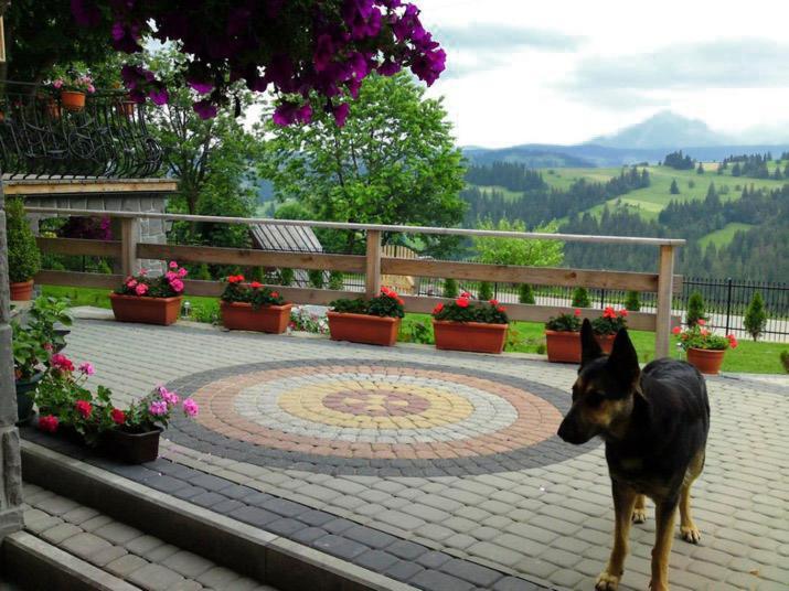 Goralska Chata Бустрик Екстериор снимка